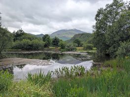 Lakeside and view of mountain.