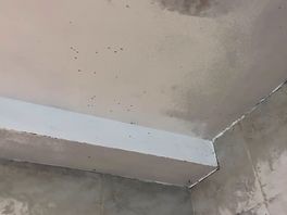 Mould on ceiling