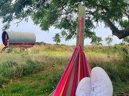 Relaxing on the hammock