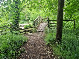Along the walking route