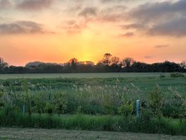 Glorious sunset