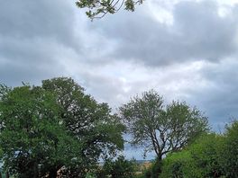 Beautiful nature.