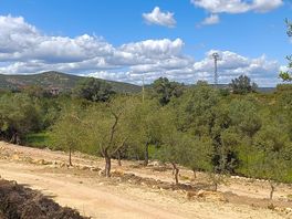 Vistas de la ruta a pie