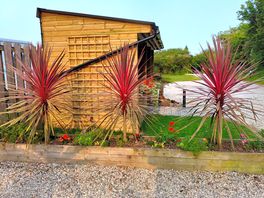 Lovely landscaping