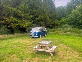 Tucked away in the corner