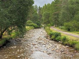 Stream running through site