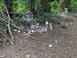 Fairy garden