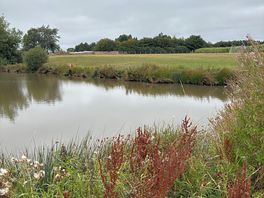 Wetlands