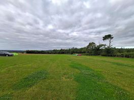 The site