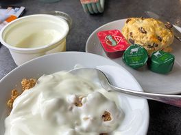 What a breakfast! home made yogurt, clotted cream, butter, all from milk from their cows