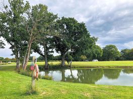 Pond