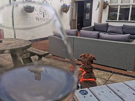 Lovely beer garden but also dogs allowed in bar.