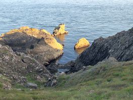 Seaviews
