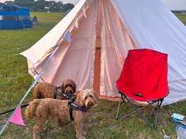 Bell tent