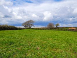 Waypark pitches