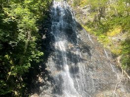 Lady falls