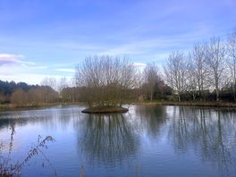 Lake at old pasture park
