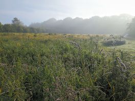 Misty morning view from our tent