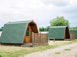 The Cocoons