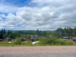 View from camper