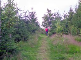 Walking to our pitch