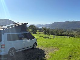 The paddock