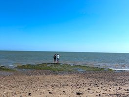 The beach just at the bottom of the grass