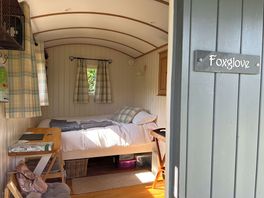 Interior of the foxglove