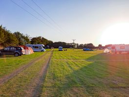 Grass pitches