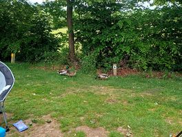 Campsite