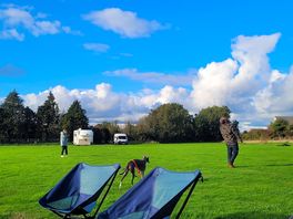 Great weather for october and plenty of room for frisbee throwing