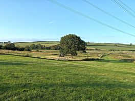 Landscape view 2