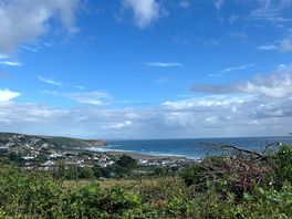 Beautiful view