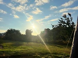 Morning view from van
