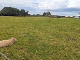 Farm
