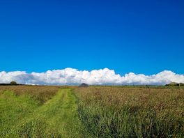 Spacious grassed pitches with far reaching views to the Preseli hills and the coast
