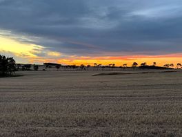 View from tent
