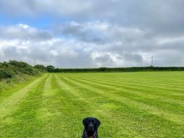 Field view