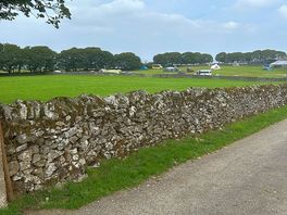 Pitch fields