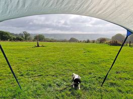 View from the tent
