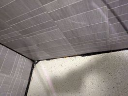 Poor cleanliness of shower/toilet area.