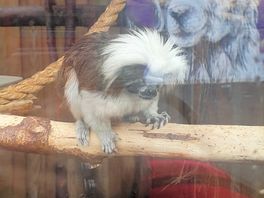 Zoo