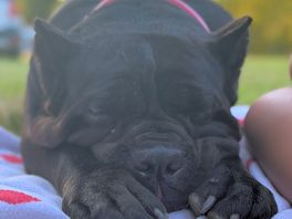 Resting after long day