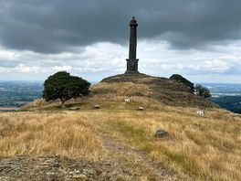 Rodney’s pillar