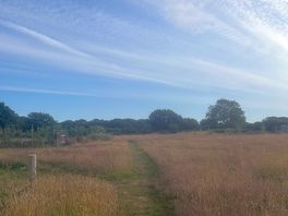 Campsite