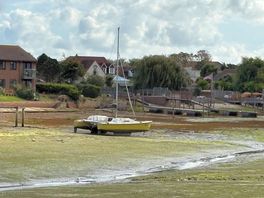 Low tide
