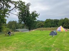 Camping area