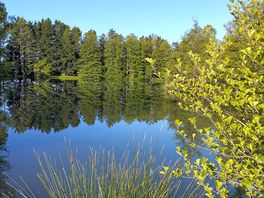 Vu sur le lac