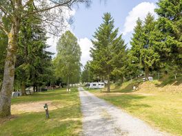 Pitches line the trrack