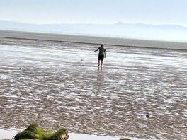 Great beach walks